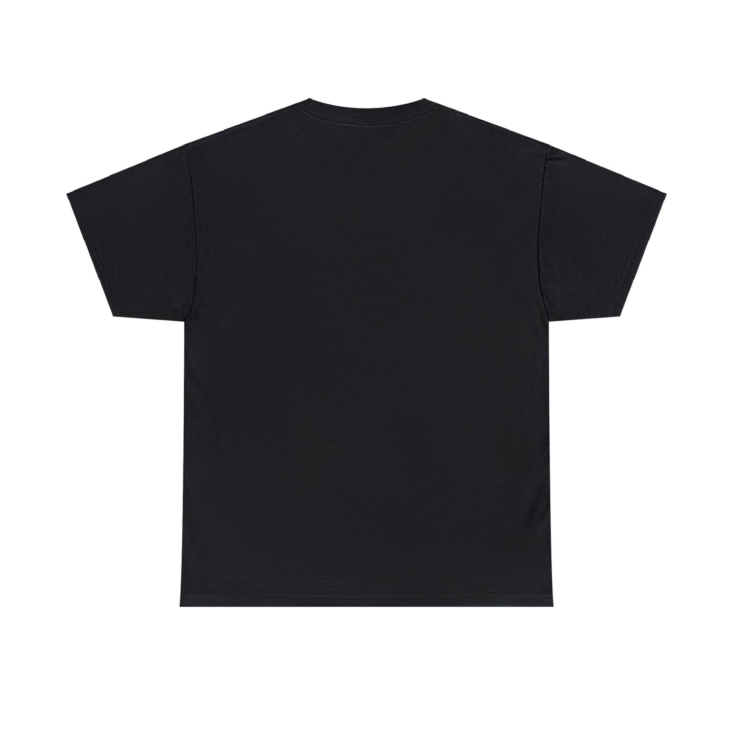 back of the Gildan 5000 tshirt in black