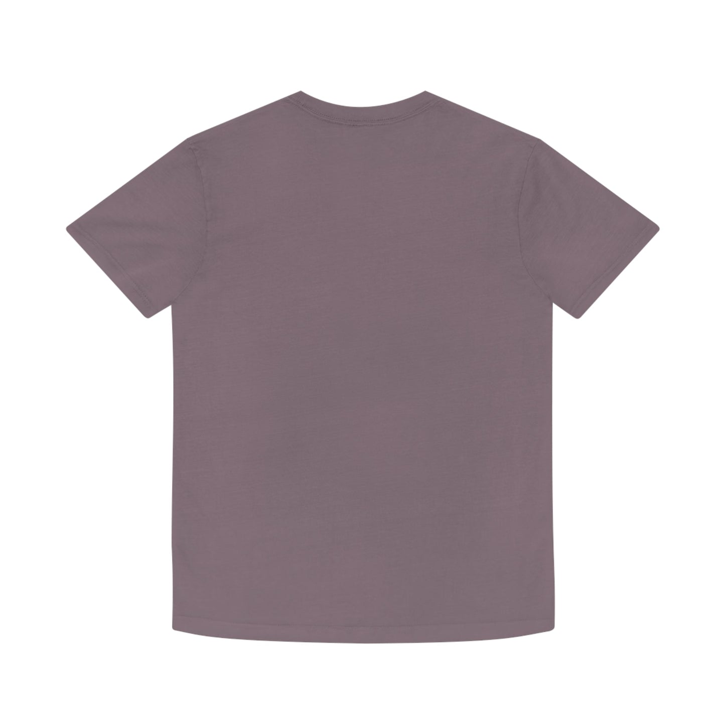 S E W Vintage Unisex Faded Shirt