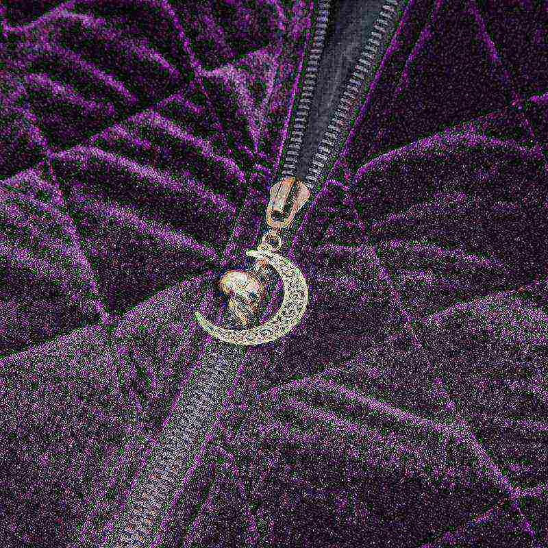 Purple Pixie Quilted Velvet Cloak