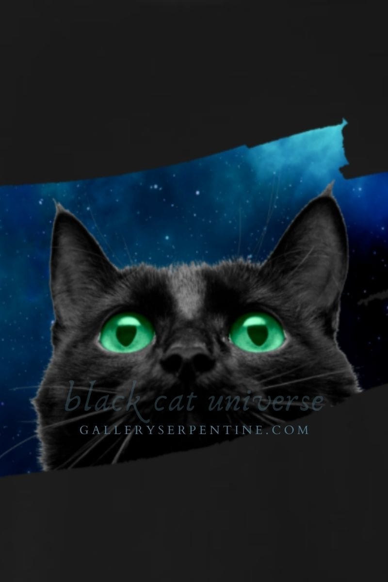 Black Cat Universe women's t-shirt for black cat lovers